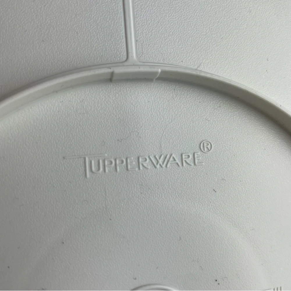 Tupperware Covered Divided Storage Dish 1708-6